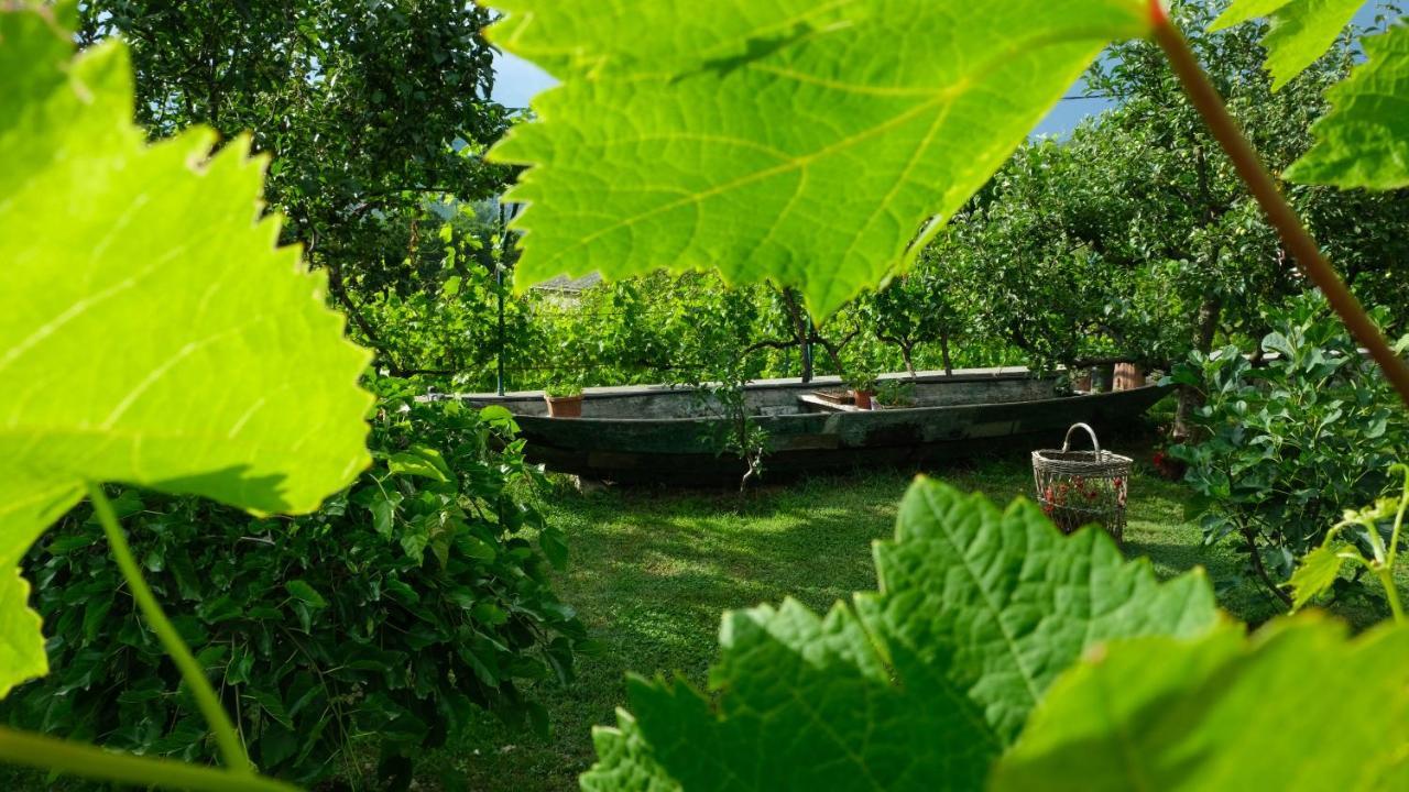 Country House Djurisic Virpazar Eksteriør billede