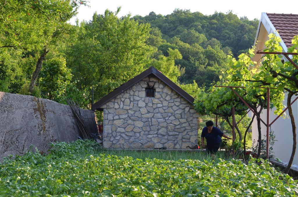 Country House Djurisic Virpazar Eksteriør billede